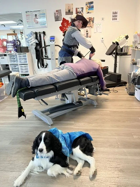 One of the clinic dogs keeping an eye on the treatment room